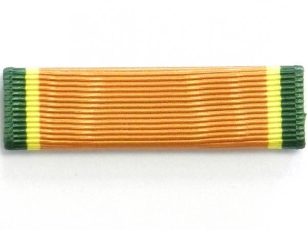 Ribbon MCJROTC Color Guard (N-3-2)