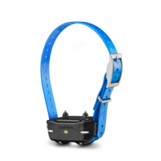 PT 10 Dog Device, Blue Collar