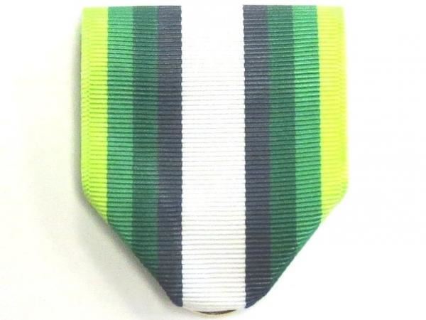 Drape-AFJROTC Drill Team