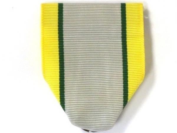 Drape-AJROTC Student Government (N-1-5)