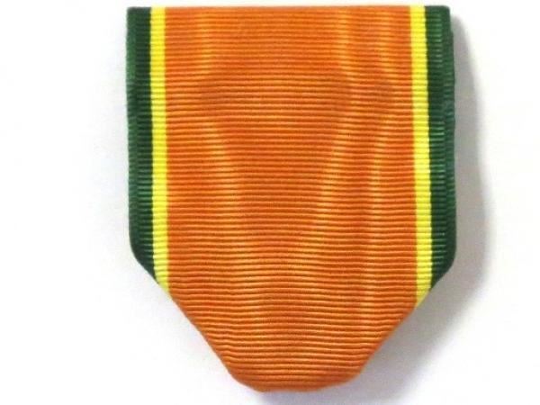 Drape-AJROTC Personal Appearance (N-3-2)
