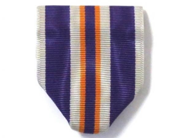 Drape-AJROTC Parade (N-4-1)