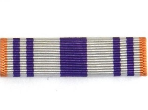 Ribbon-AJROTC Optional Use (N-4-5)