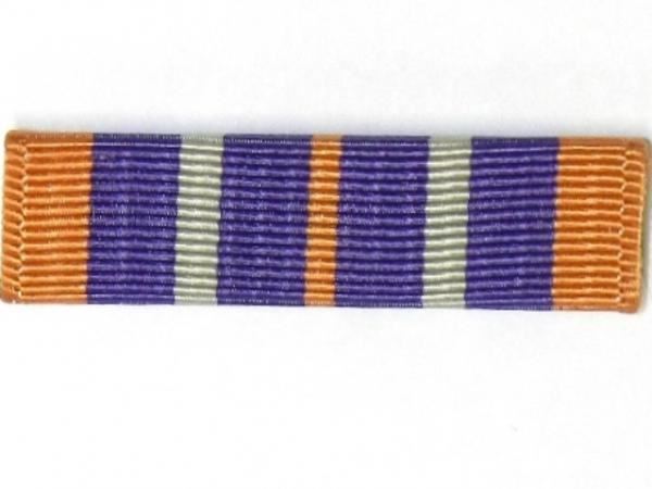 Ribbon-AJROTC Service Learning (N-4-6)