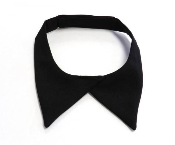 Black Neck Tab, Female