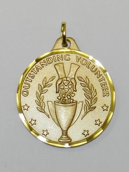 E-Series Gold Medal Outstanding Volunteer