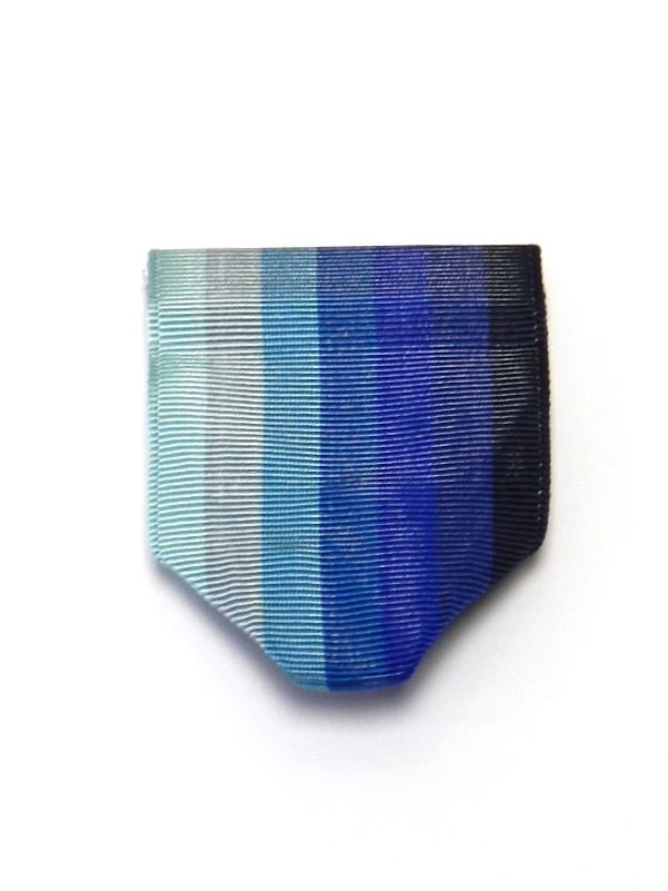 AFJROTC Outstanding Organization Award