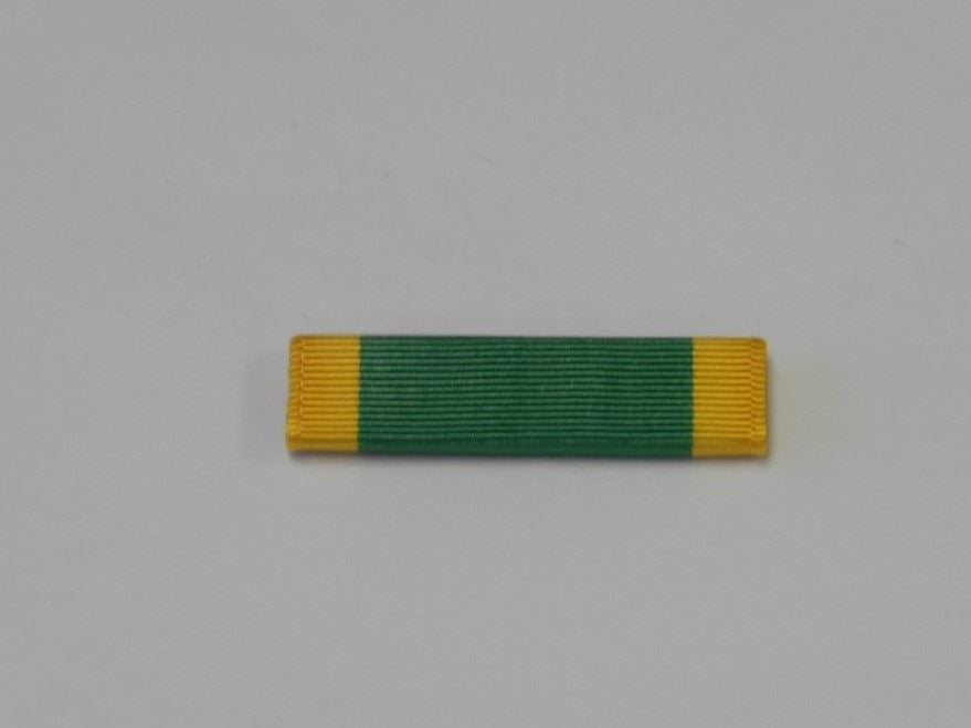 Ribbon-AFJROTC Leadership School Ribbon