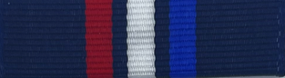 Cyber Patriot Ribbon