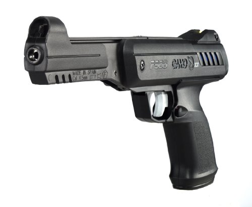 Gamo P-900 IGT    .177