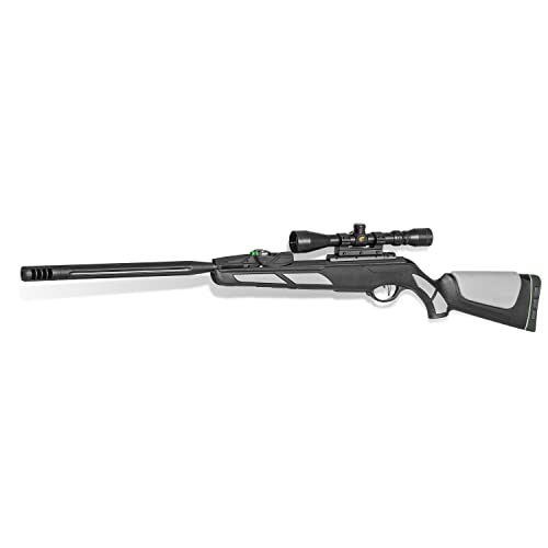 Gamo Swarm Viper 10X GEN3i Inertia .22
