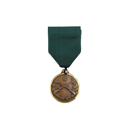 Rifle Achievement Medal sets