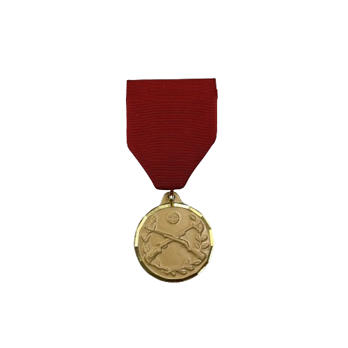 Rifle Achievement Medal sets