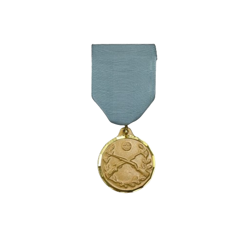 Rifle Achievement Medal sets