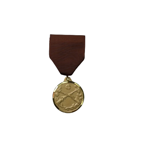 Rifle Achievement Medal sets