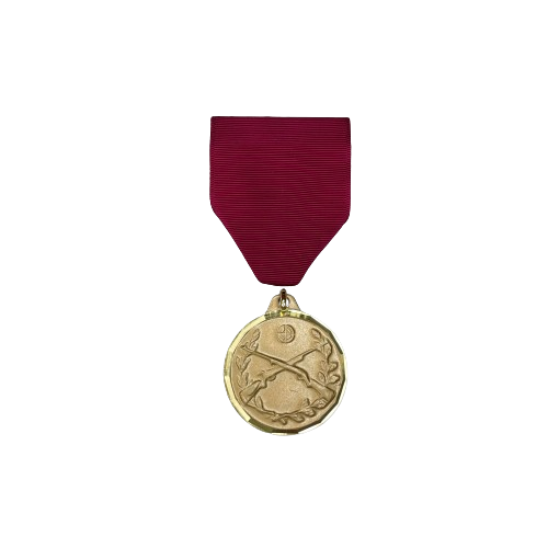 Rifle Achievement Medal sets