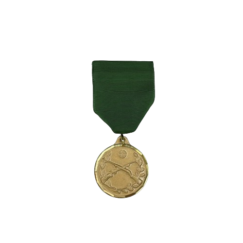Rifle Achievement Medal sets