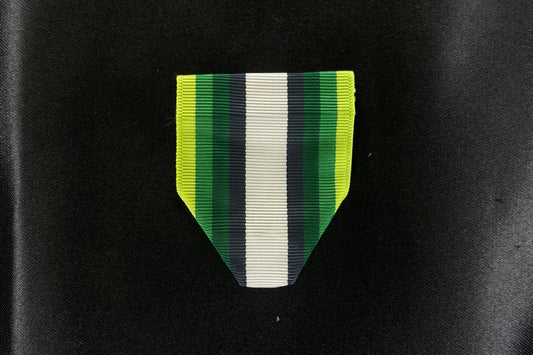 Drape-AFJROTC Drill Team