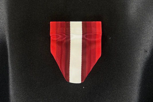 Drape-AFJROTC Sabre Team