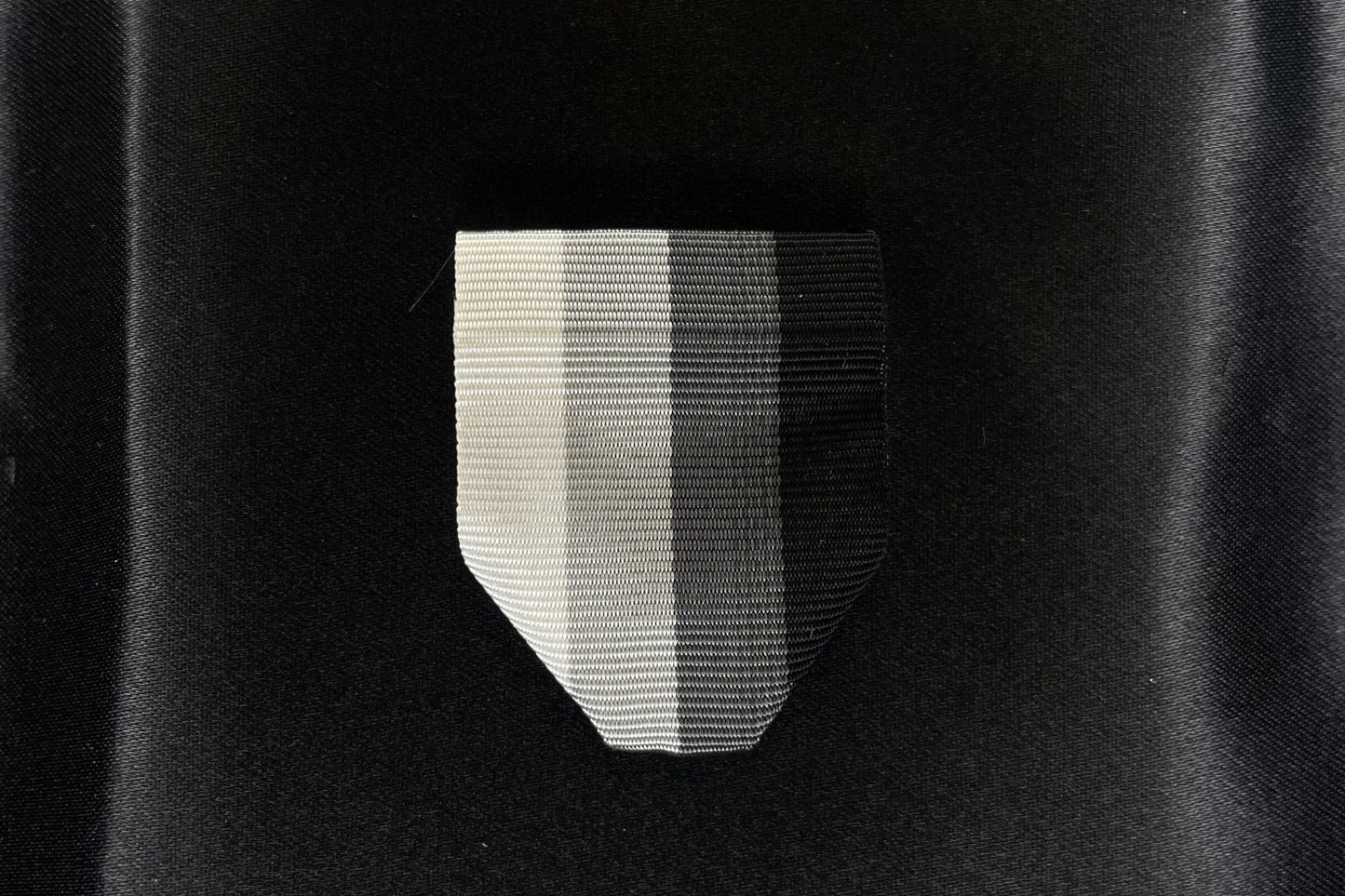 Raiders Team Drape