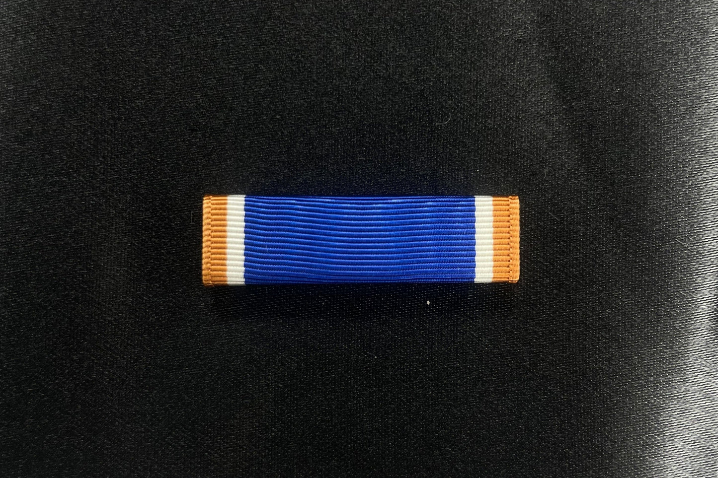 Naval Science 1 Outstanding Cadet(s)