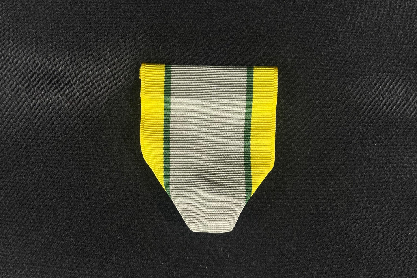 Drape-AJROTC Student Government  (N-1-5)