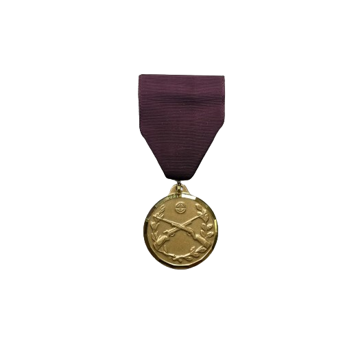 Rifle Achievement Medal sets