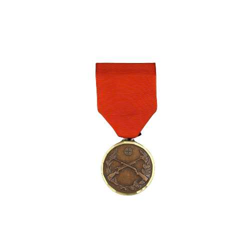 Rifle Achievement Medal sets