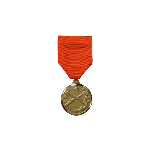 Rifle Achievement Medal sets
