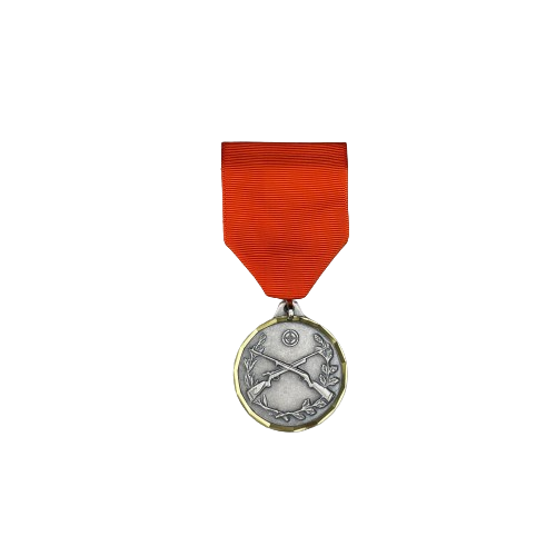 Rifle Achievement Medal sets