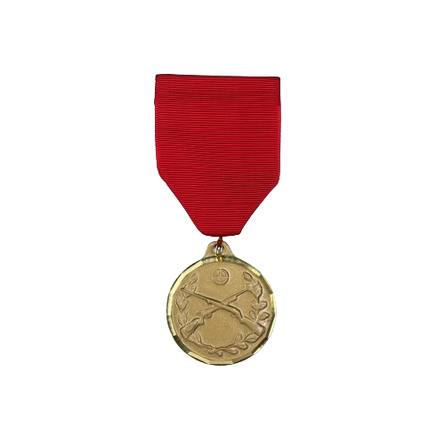 Rifle Achievement Medal sets