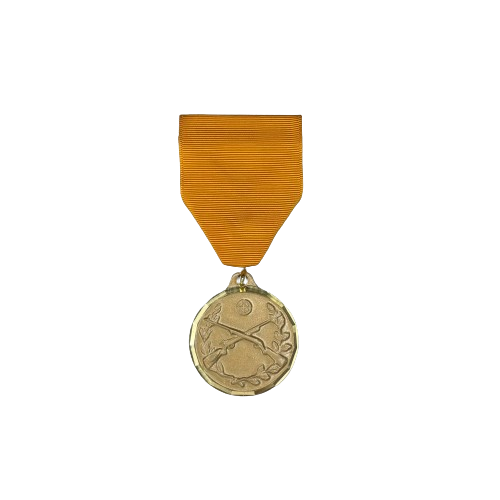 Rifle Achievement Medal sets