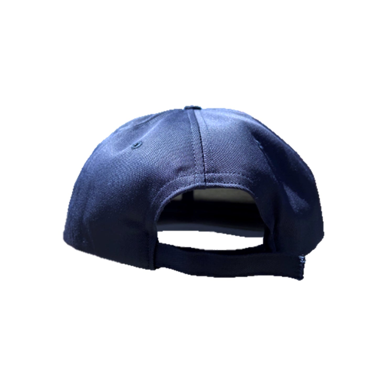 Air Force Blue Baseball Cap (for wear with ABU's) USA Made