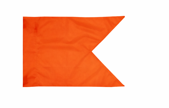 Custom Guidon Flag Double Sided Embroidered (Quick 2-3 Month ETA)