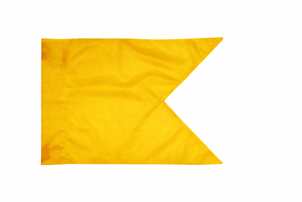 Custom Guidon Flag Double Sided Embroidered (Quick 2-3 Month ETA)