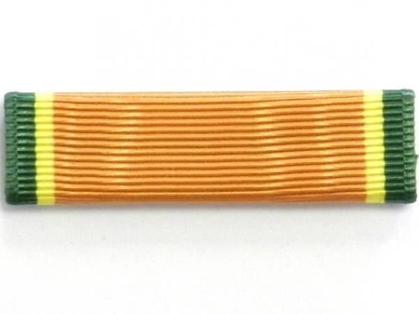 Ribbon-AJROTC Personal Appearance / Ribbon MCJROTC Color Guard (N-3-2)