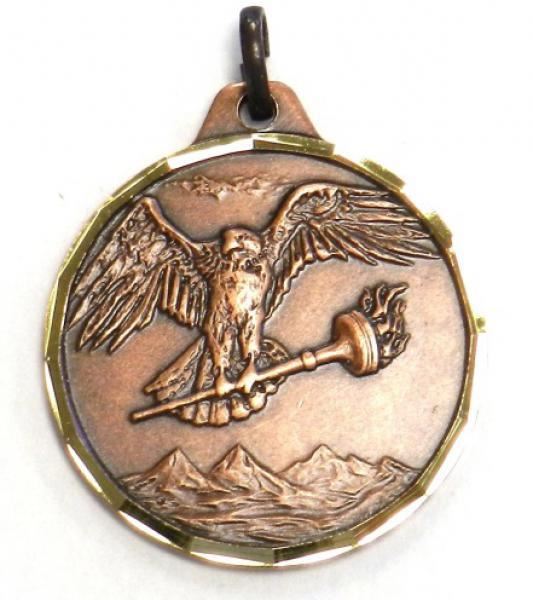 E-Series Medal - Bronze Eagle w/ Torch