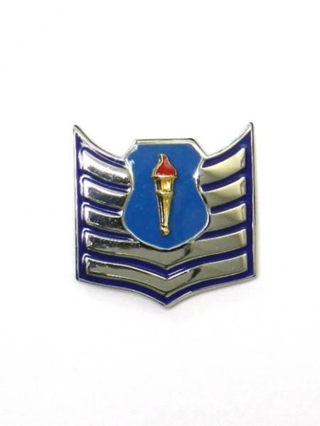 AFJROTC Rank Cadet Tech Sergeant (C/TSGT)