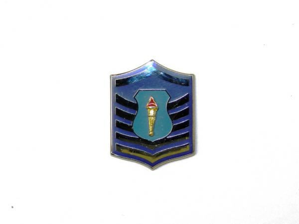 AFJROTC Rank Cadet Master Sergeant (C/MSgt)