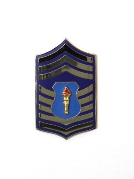 AFJROTC Rank Cadet Chief Master Sergeant (C/CMSGT)