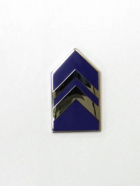 AFJROTC Rank Cadet Lieutenant Colonel (C/LTC)