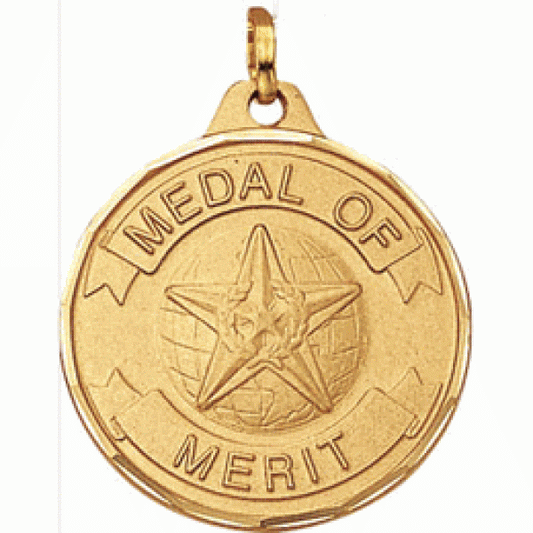 E-Series Medal Gold, Medal of Merit