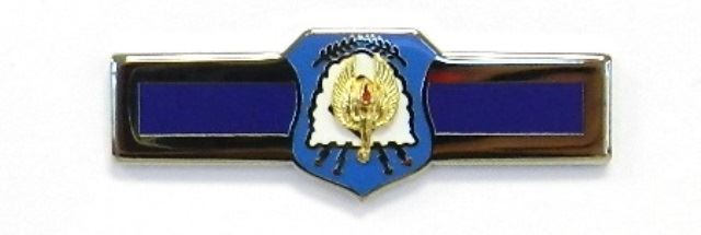 AFJROTC Distinguished Cadet Badge