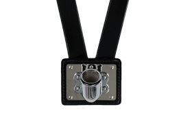 Single Flag Carrier,  Black Leather Harness, Nickel Cup & Buckle